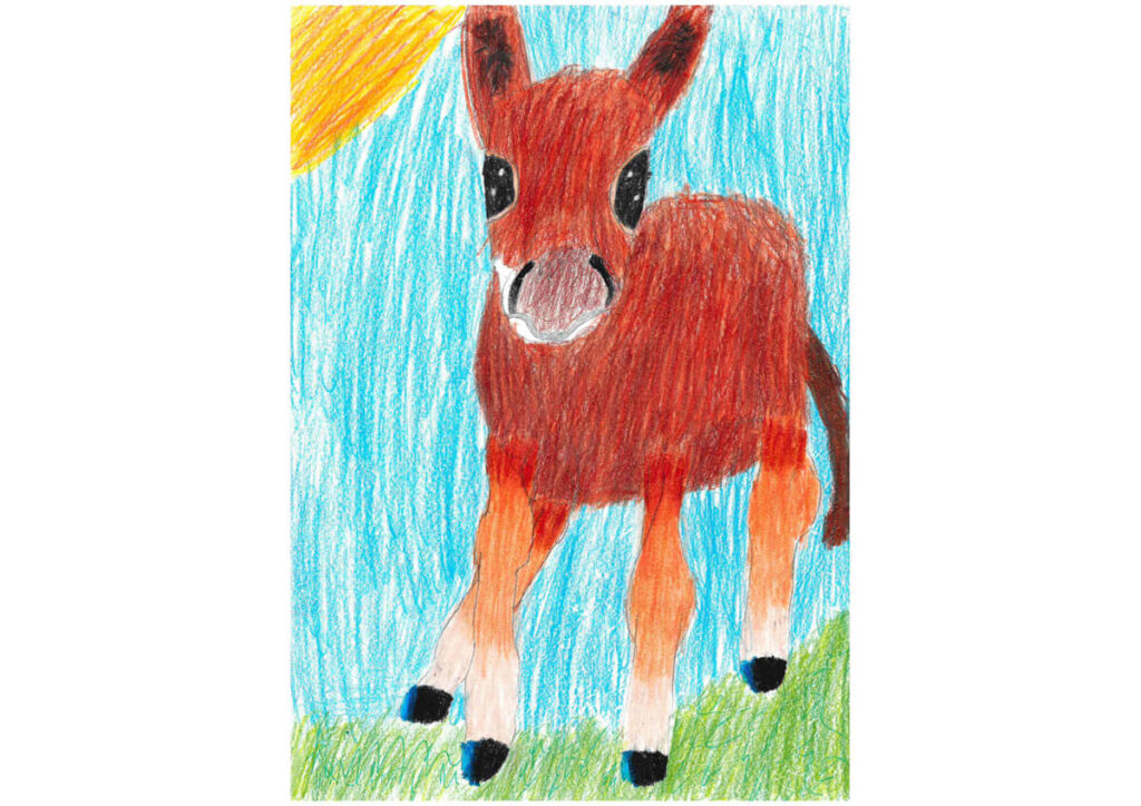 Daniel W. - 11 Jahre - 2. Bild